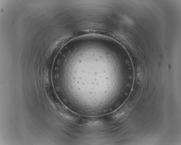 X0000069390547200605192216