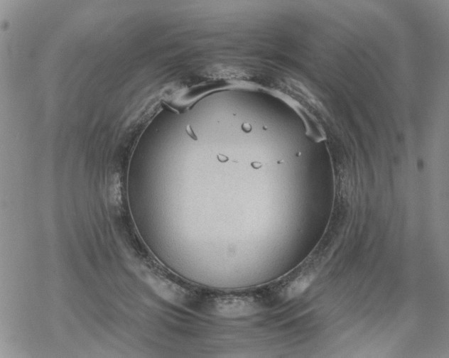 X0000069390549200605192216