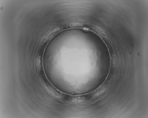 X0000069390550200605192216