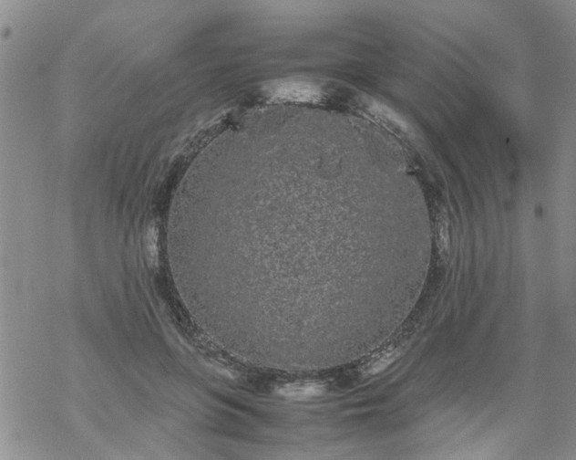 X0000069390551200605192216