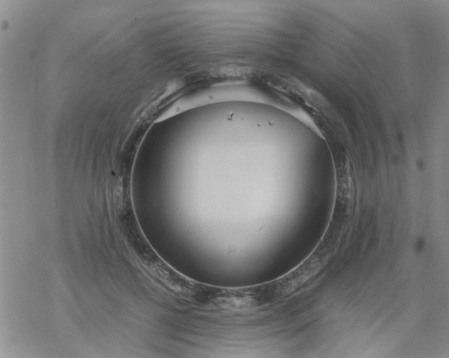 X0000069390552200605192216