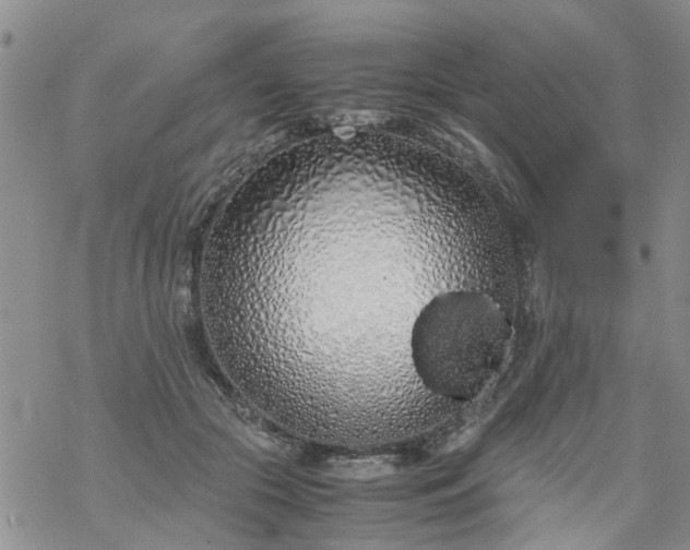 X0000069390553200605192216