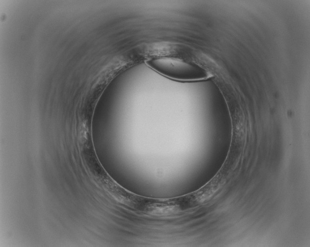 X0000069390555200605192216