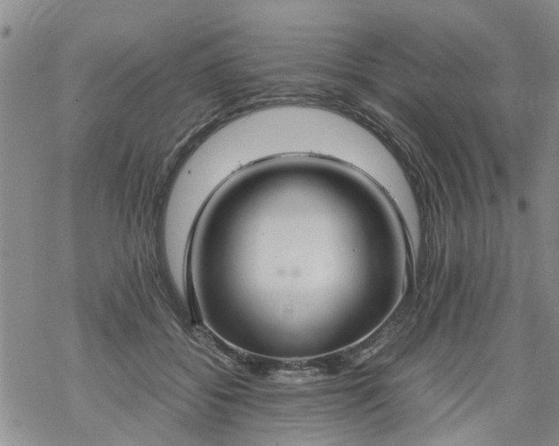 X0000069390556200605192216