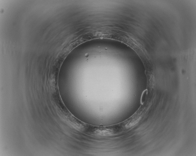 X0000069390557200605192216