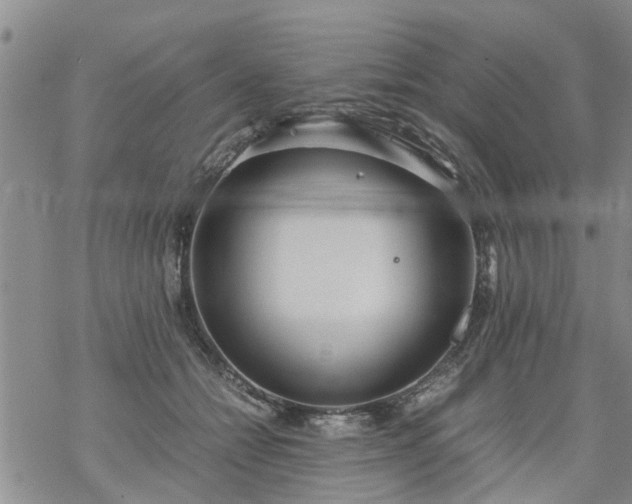 X0000069390558200605192216