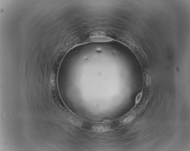 X0000069390561200605192217