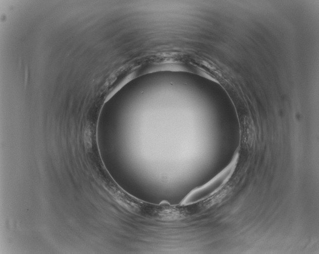 X0000069390562200605192217