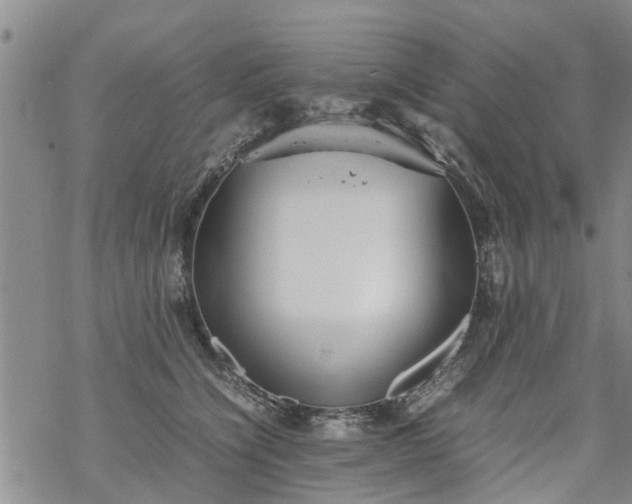 X0000069390564200605192217