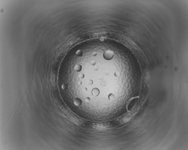 X0000069390565200605192217