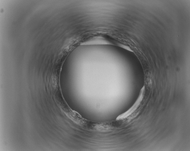 X0000069390568200605192217