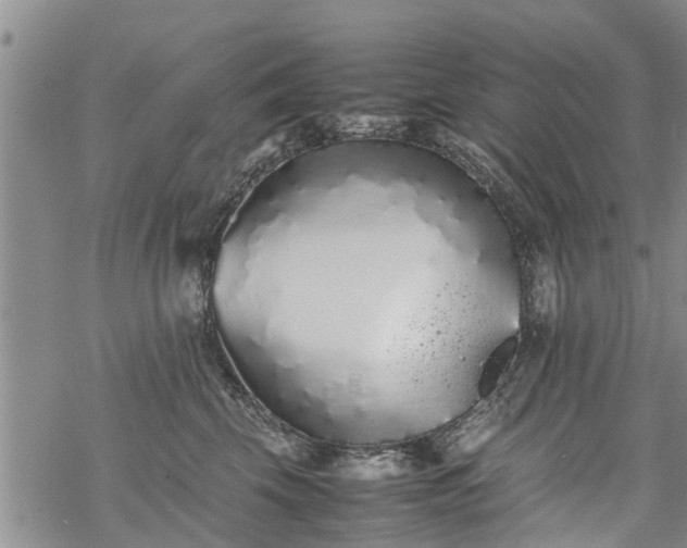 X0000069390569200605192217