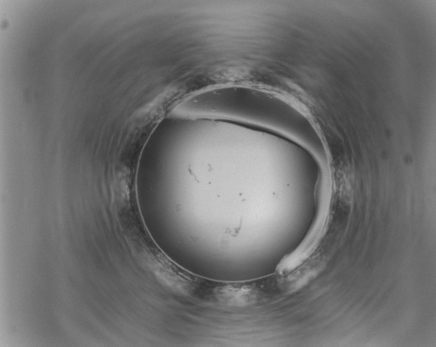 X0000069390570200605192217