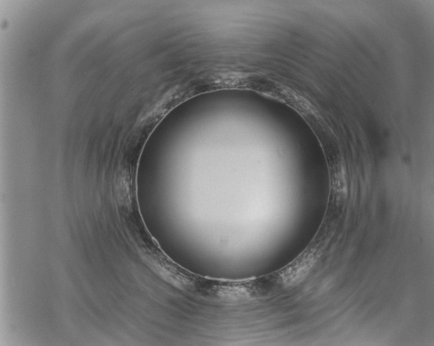 X0000069390572200605192217