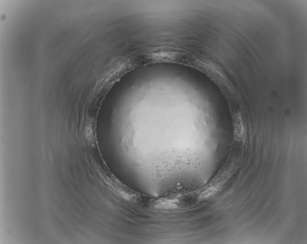 X0000069390573200605192217