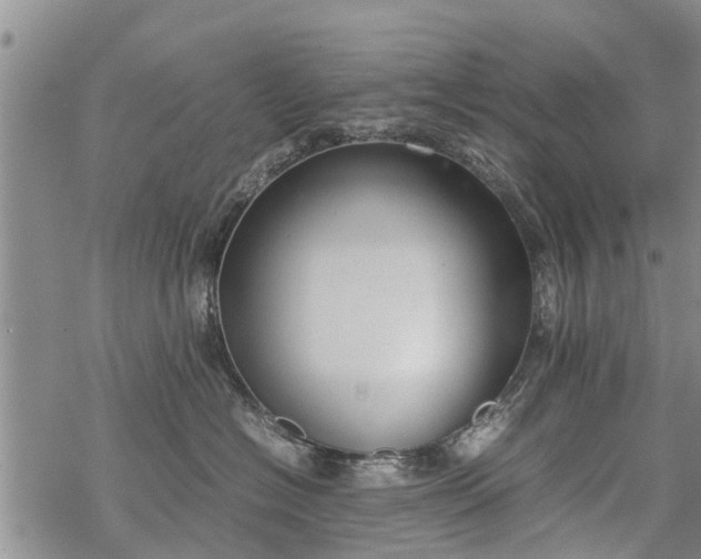 X0000069390574200605192217