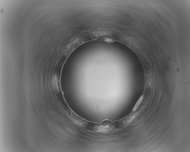 X0000069390575200605192217