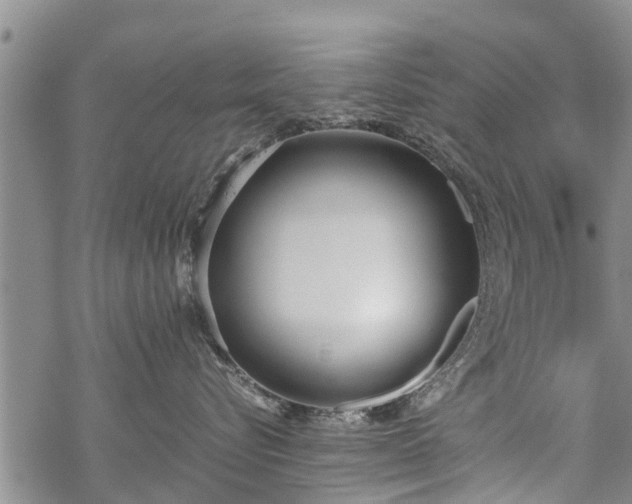 X0000069390576200605192217