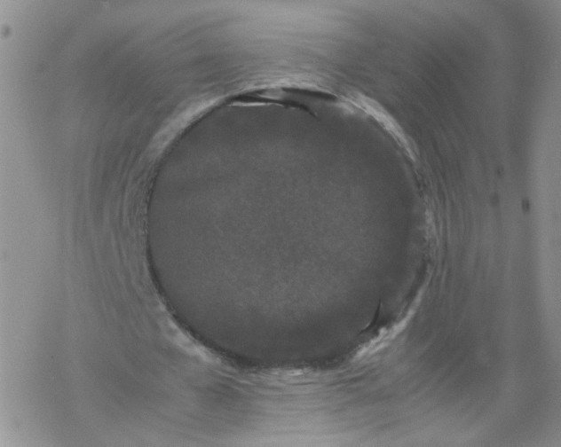 X0000069390577200605192216