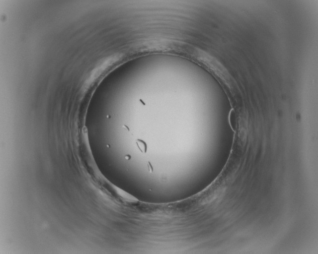 X0000069390578200605192216