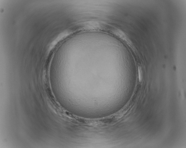 X0000069390579200605192216