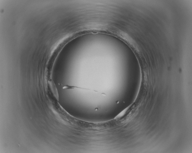 X0000069390580200605192216