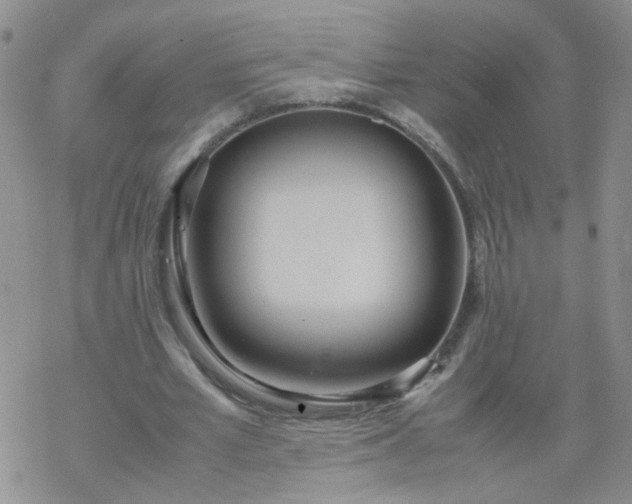 X0000069390581200605192216