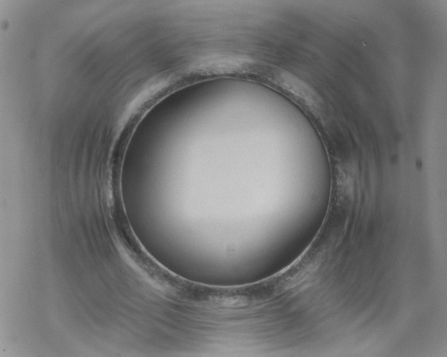 X0000069390582200605192216