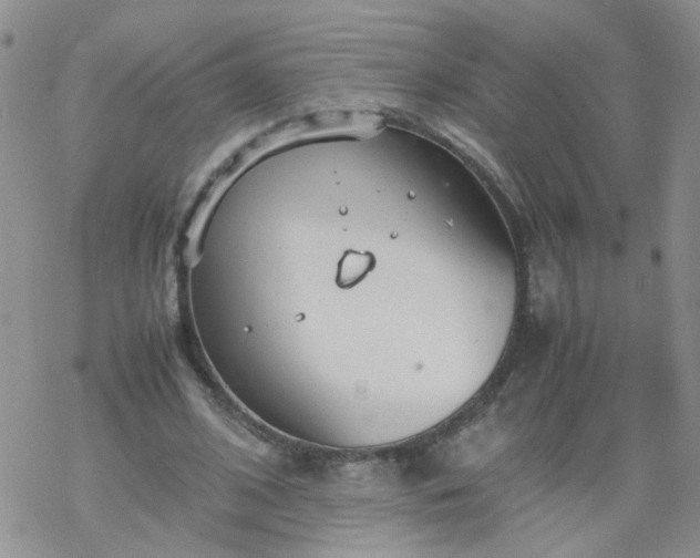 X0000069390584200605192216