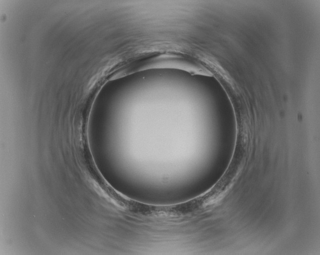 X0000069390585200605192216