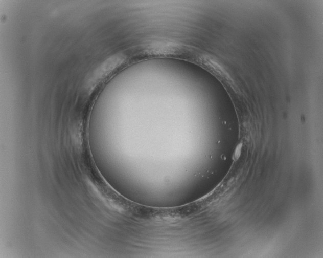 X0000069390586200605192216