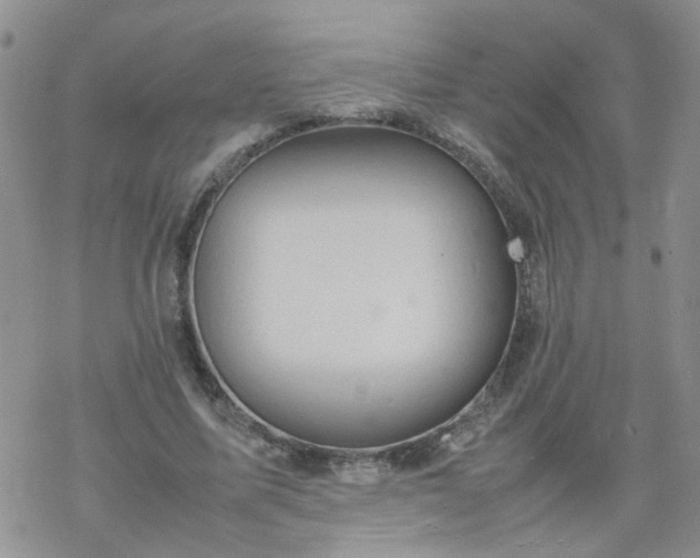 X0000069390587200605192216