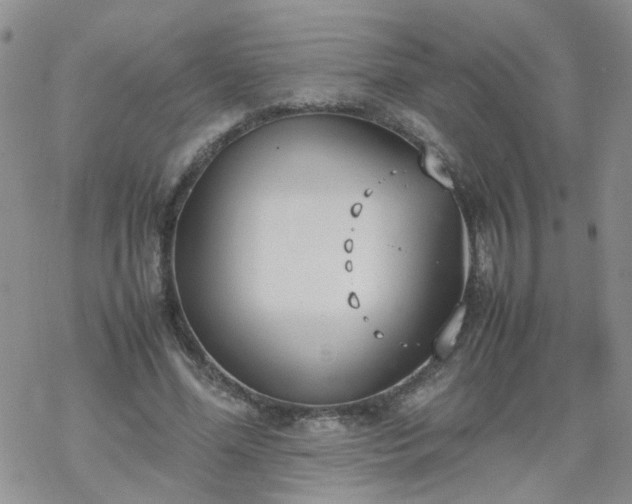 X0000069390588200605192216