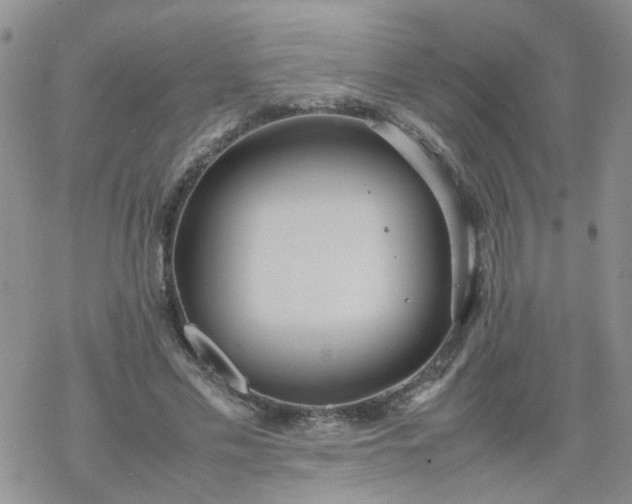 X0000069390589200605192216