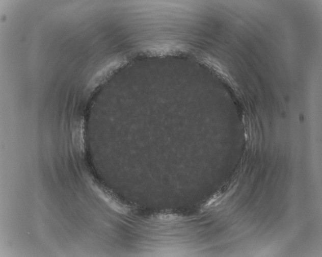 X0000069390590200605192216