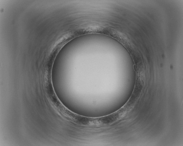 X0000069390591200605192216