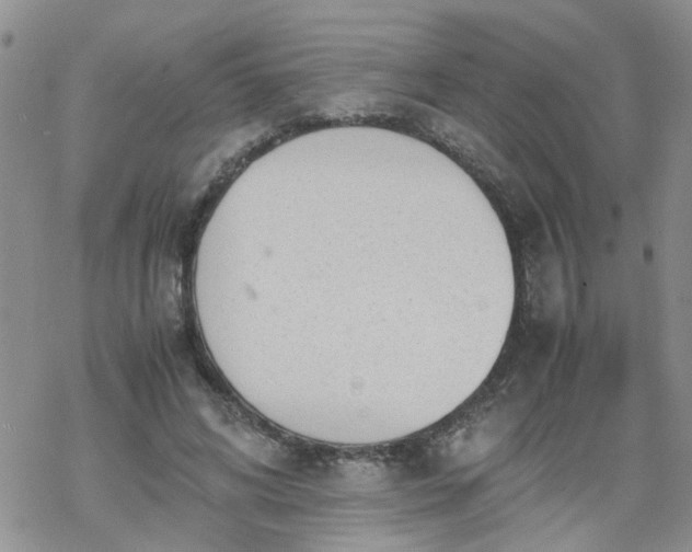 X0000069390592200605192216