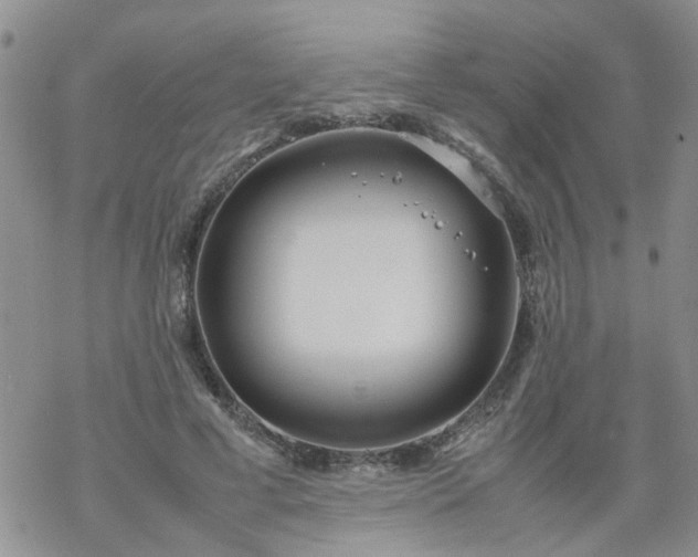 X0000069390593200605192216