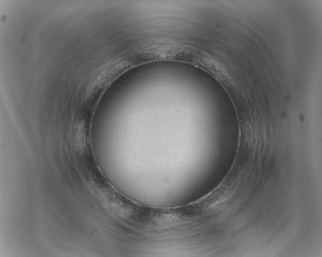 X0000069390594200605192216