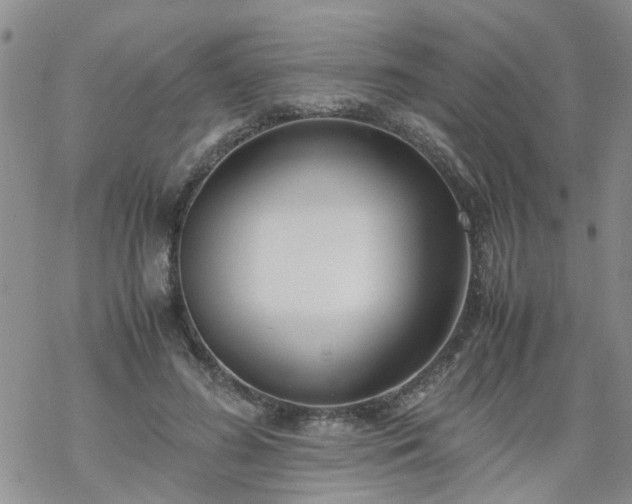 X0000069390596200605192216