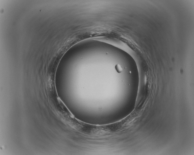 X0000069390597200605192216