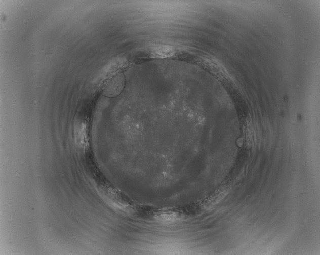 X0000069390598200605192216