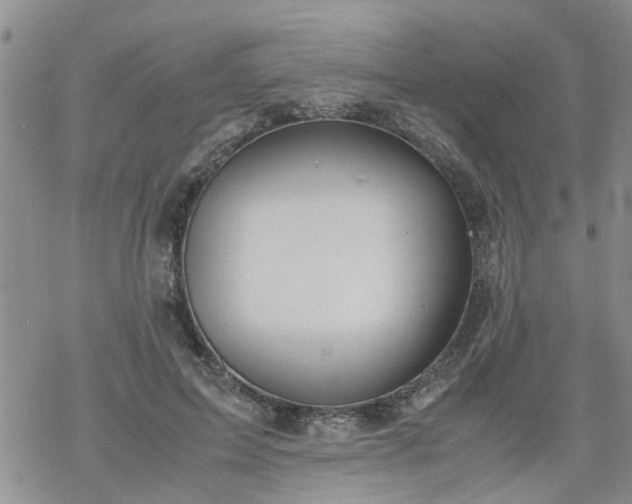 X0000069390599200605192216