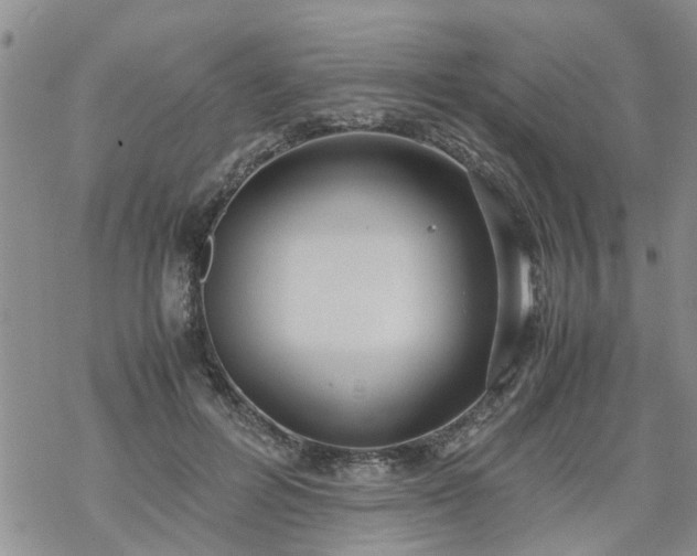 X0000069390600200605192216