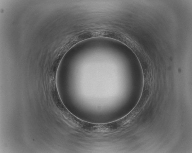 X0000069390601200605192216