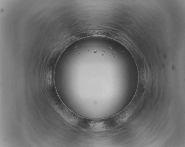 X0000069390602200605192216