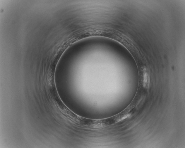 X0000069390604200605192216