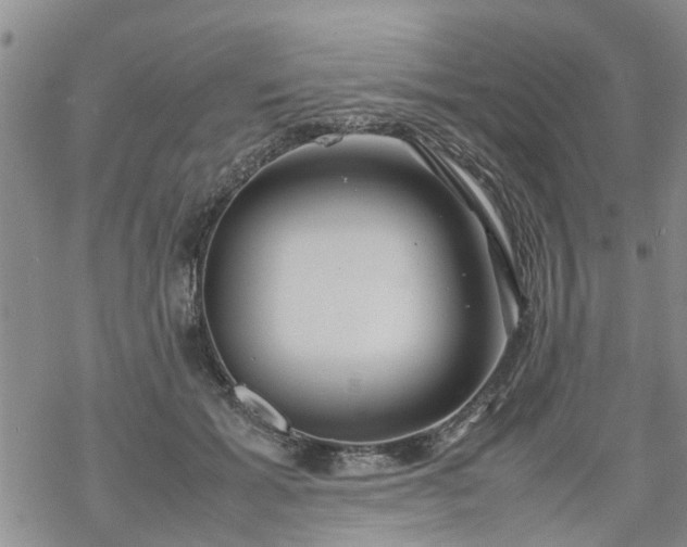 X0000069390605200605192216