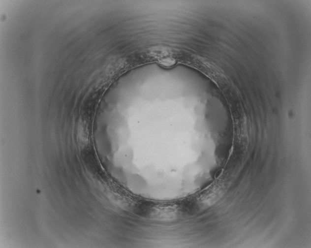 X0000069390606200605192216