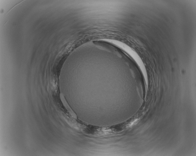 X0000069390607200605192215